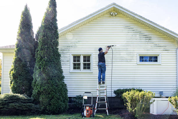Best Driveway Pressure Washing  in Bay City, TX