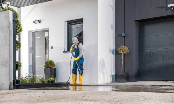 Best Roof Washing  in Bay City, TX